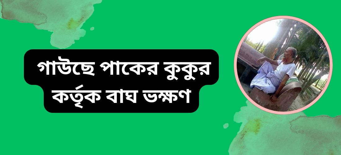 গাউছে পাকের কুকুর কর্তৃক বাঘ ভক্ষণ