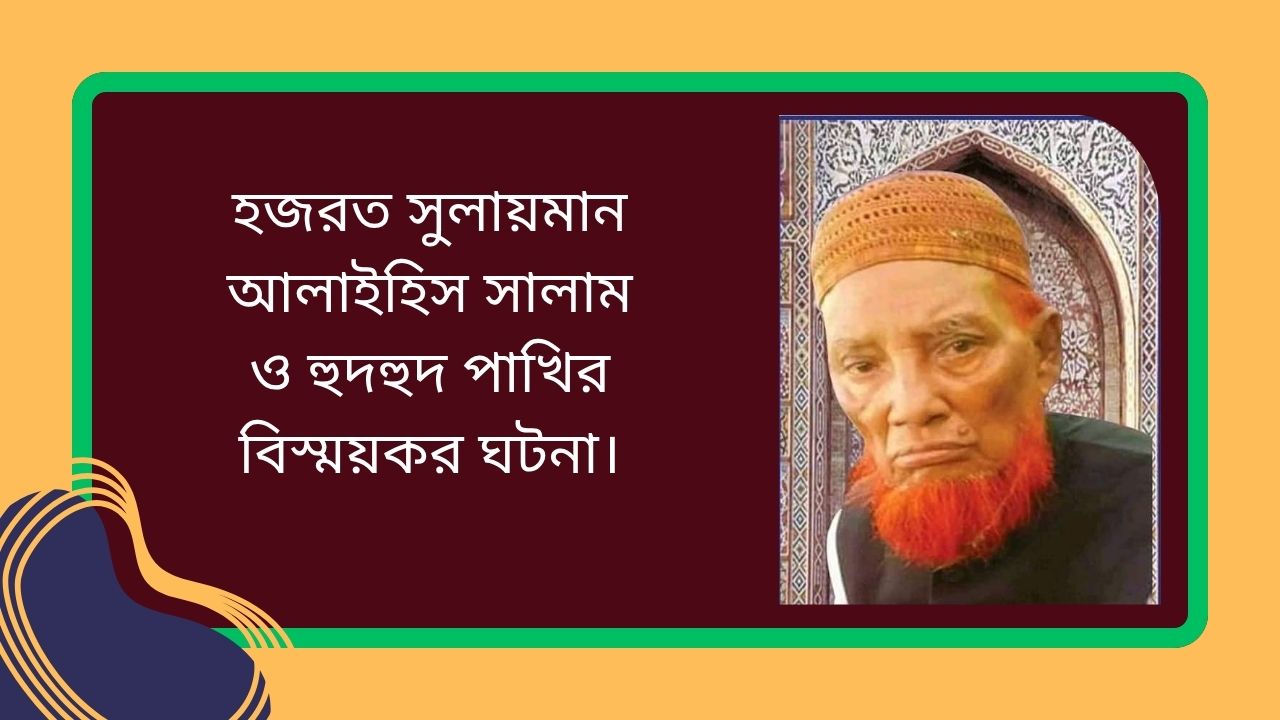 হজরত সুলায়মান আলাইহিস সালাম ও হুদহুদ পাখির বিস্ময়কর ঘটনা।