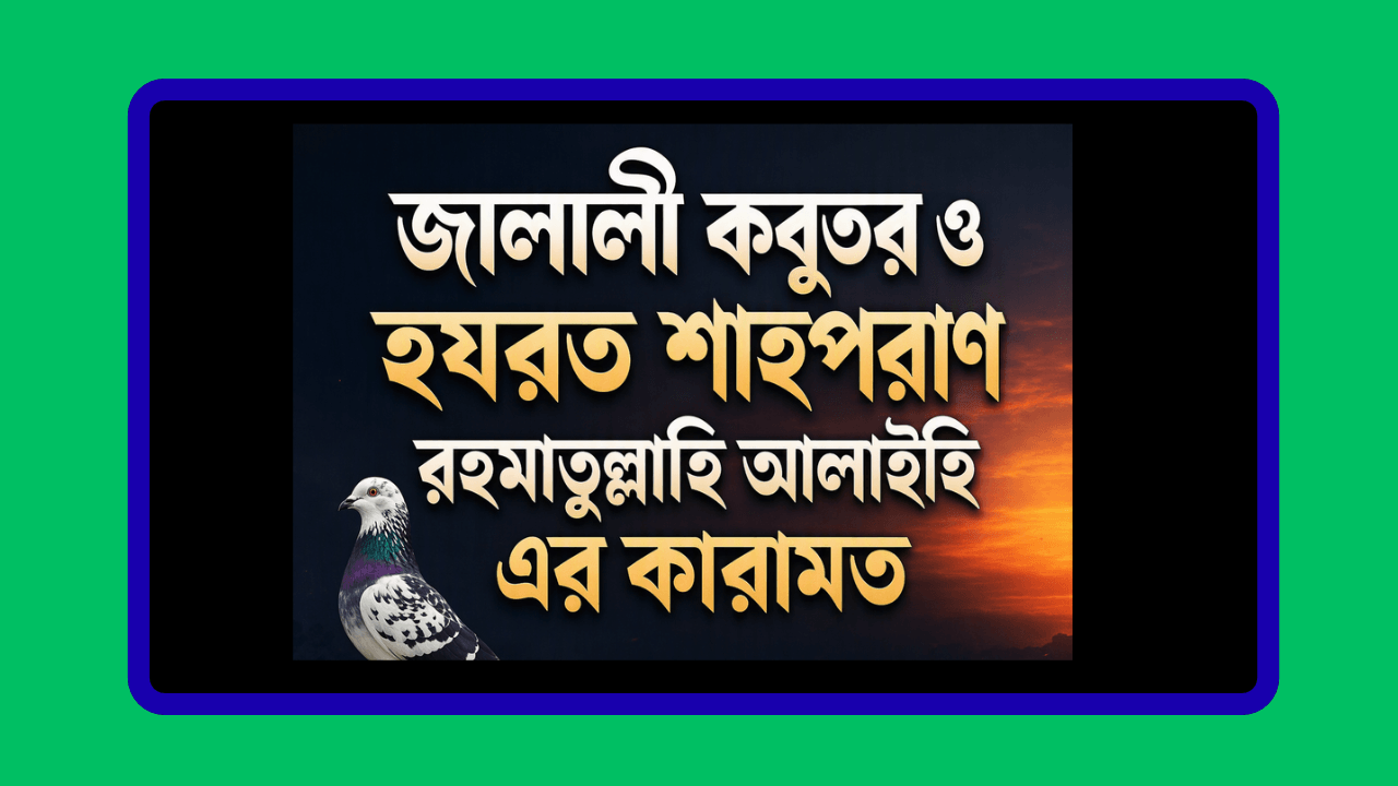 জালালী কবুতর ও হযরত শাহপরাণ রহমাতুল্লাহি আলাইহি এর কারামত