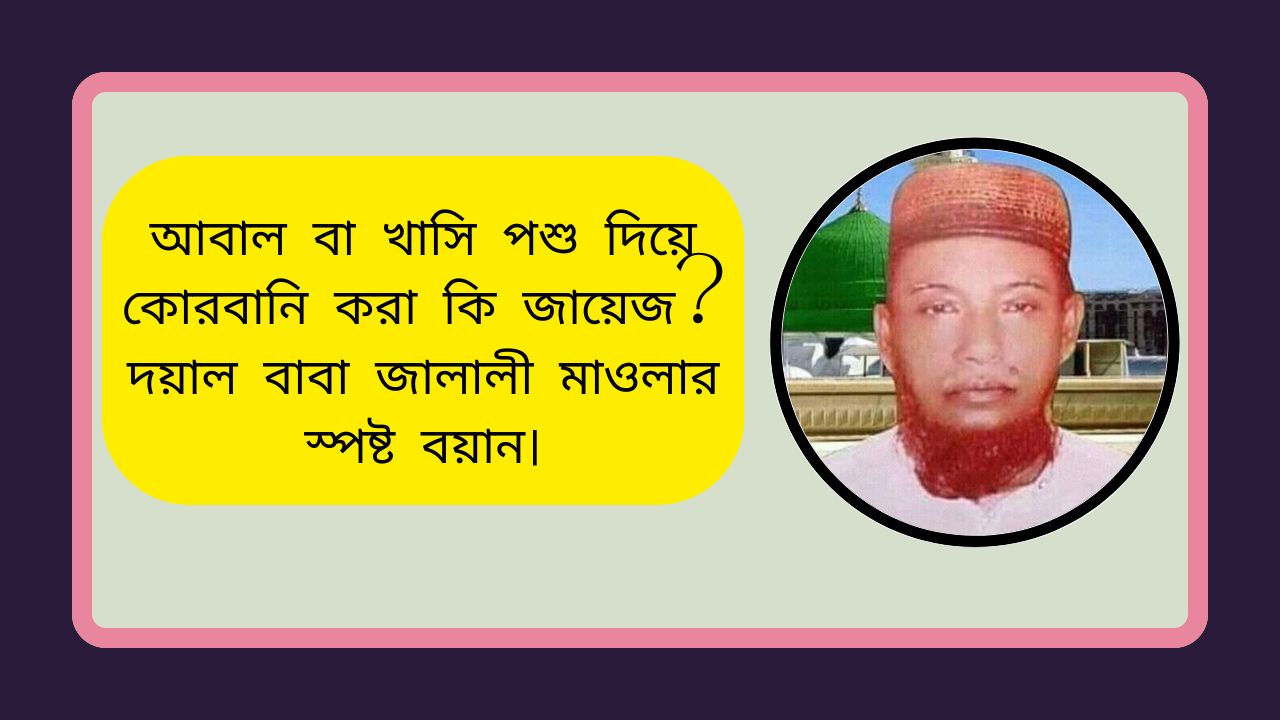 আবাল বা খাসি পশু দিয়ে কোরবানি করা কি জায়েজ? দয়াল বাবা জালালী মাওলার স্পষ্ট বয়ান।