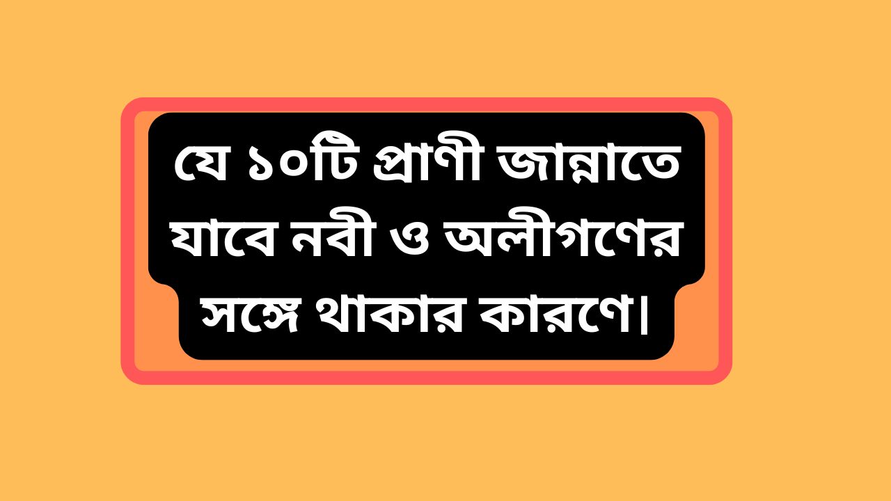 যে ১০টি প্রাণী জান্নাতে যাবে নবী ও অলীগণের সঙ্গে থাকার কারণে।