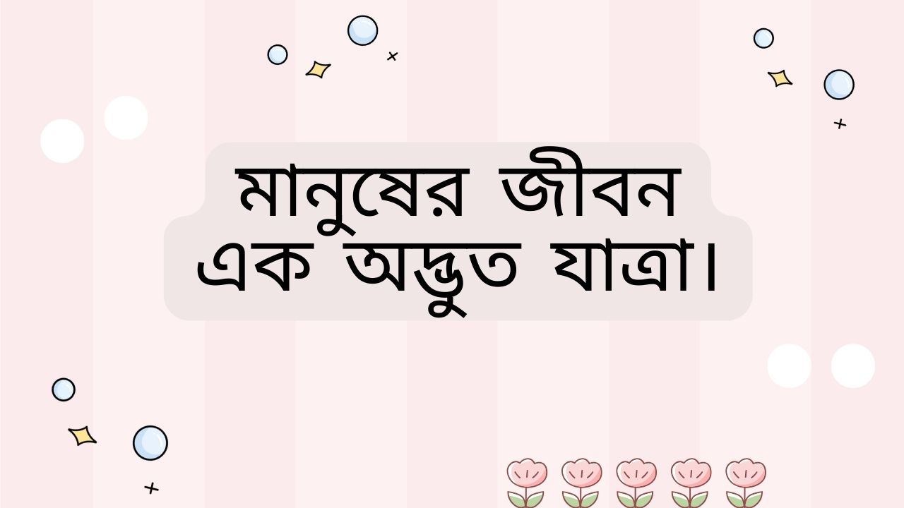 মানুষের জীবন এক অদ্ভুত যাত্রা।