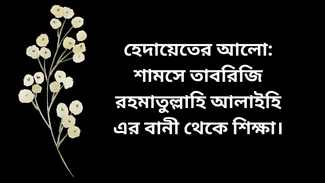 হেদায়েতের আলো: শামসে তাবরিজি রহমাতুল্লাহি আলাইহি এর বানী থেকে শিক্ষা।