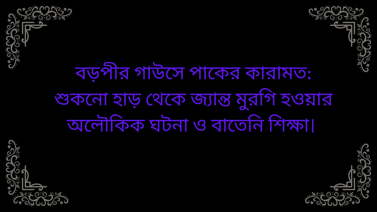 বড়পীর গাউসে পাকের কারামত: শুকনো হাড় থেকে জ্যান্ত মুরগি হওয়ার অলৌকিক ঘটনা ও বাতেনি শিক্ষা